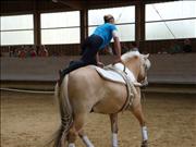 voltitag 2009 _CD2 125